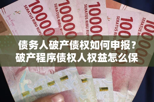 北京债务人破产债权如何申报？破产程序债权人权益怎么保障？