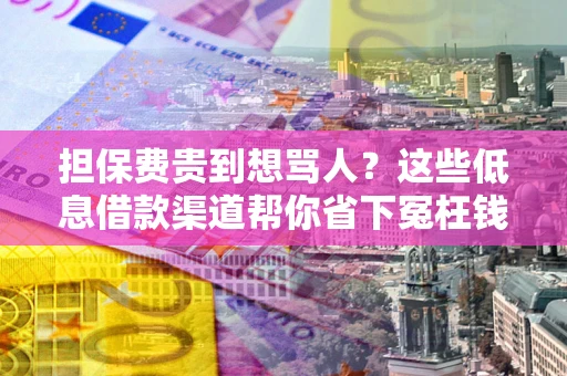 北京担保费贵到想骂人？这些低息借款渠道帮你省下冤枉钱
