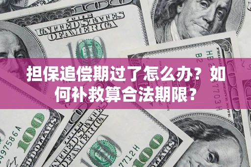 北京担保追偿期过了怎么办？如何补救算合法期限？