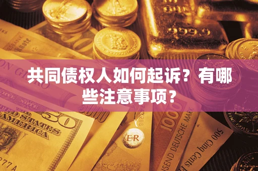 北京共同债权人如何起诉？有哪些注意事项？